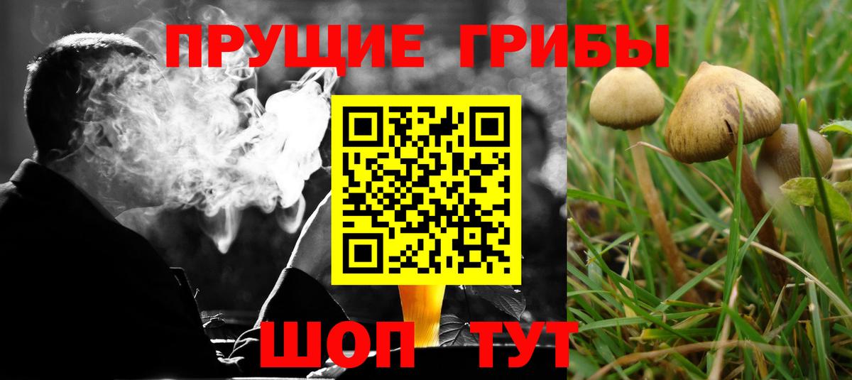 Псилоцибиновые грибы MAGIC MUSHROOMS Саранск