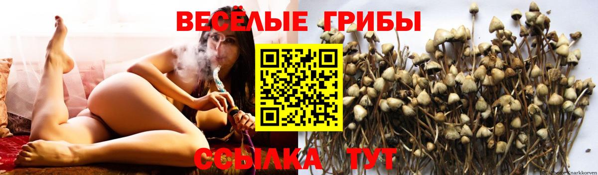  Кокаин Саранск